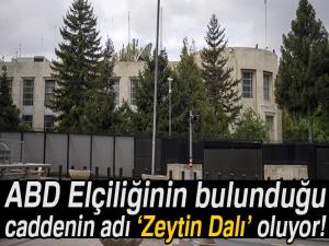 ABD Elçiliğinin bulunduğu caddenin adı Zeytin Dalı oluyor!