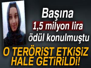 Başına 1,5 milyon lira ödül konulan terörist etkisiz hale getirildi!