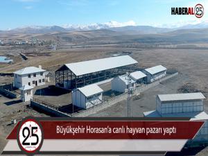 Büyükşehir Horasana canlı hayvan pazarı yaptı 