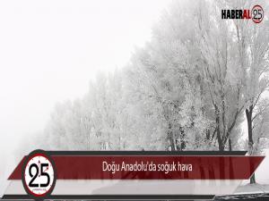 Doğu Anadolu'da soğuk hava 