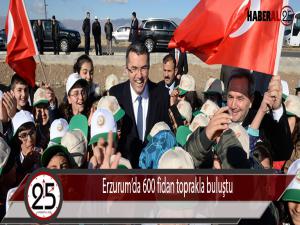 Erzurumda 600 fidan toprakla buluştu 