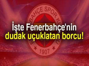 Fenerbahçe'nin borcu 311 milyon TL