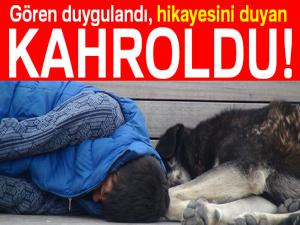 Gören duygulandı! Köpeklerle aynı bankta...