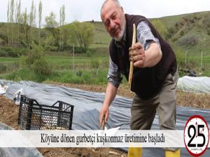 Köyüne dönen gurbetçi kuşkonmaz üretimine başladı 