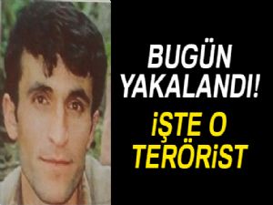 Tunceli'de savcıyı şehit eden terörist yaralı olarak ele geçirildi