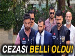 Onur Özerbizerdik'e 2,5 yıl hapis cezası