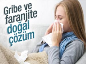 Gribe ve faranjite doğal çözüm