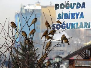 DOĞU'DA SİBİRYA SOĞUKLARI