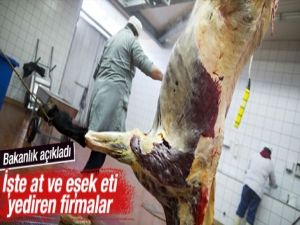 Bakanlık at eti satanları ifşa etti