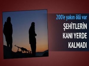 5 dalgada 200'e yakın PKK'lı öldürüldü