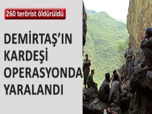 260 terörist öldürüldü, Demirtaş'ın kardeşi operasyonda yaralandı