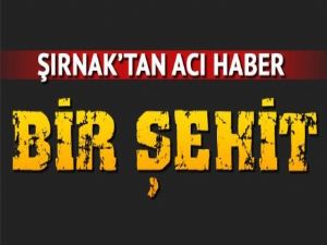 Şırnak'tan acı haber Bir şehit