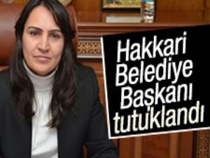 Hakkari Belediye Başkanı tutuklandı