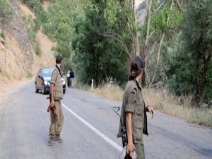 Diyarbakır'da yol kesen PKK'lılar doktor öldürdü!