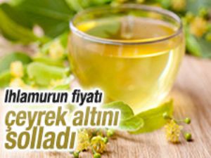 Ihlamur fiyatları yüzde 50 arttı