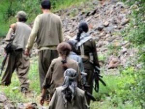 PKK'ya ilaç taşıyan 4 terörist tutuklandı