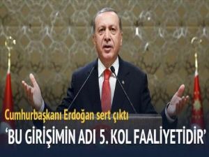 'Akademisyenlerin mektubu 5. kol faaliyeti'