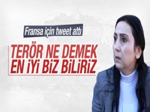 Figen Yüksekdağ'ın Fransa mesajı