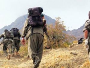 Hakkari ve Şanlıurfa'da 4 terörist yakalandı