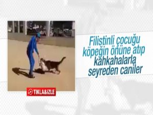 İsrailli gençler köpeği Filistinli çocuğa saldırttı