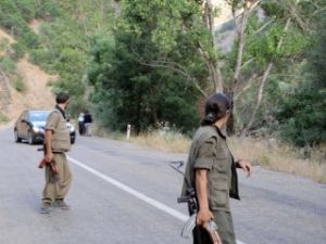 Şırnak'ta 2 PKK'lı tutuklandı