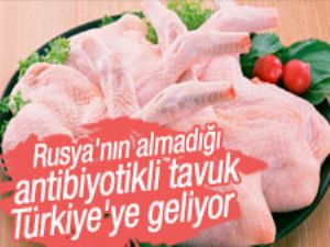 Rusya 23 ton antibiyotikli tavuğu geri yolluyor