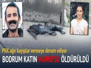 Bodrum katın Mamo'su öldürüldü