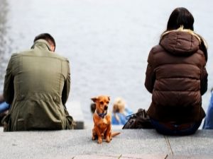 Birbirinden uzaklaşan çiftler ilişkilerini nasıl toparlayabilir