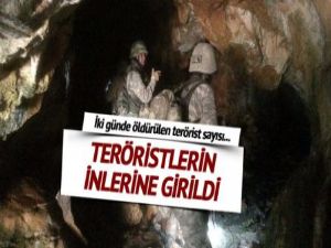 İnlerine girildi