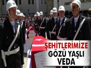 Şanlıurfa şehitleri için tören düzenlendi