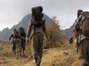 FETÖ evinden PKK'lı çıktı