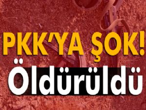 PKK'nın sözde 'Çemçe sorumlusu' öldürüldü