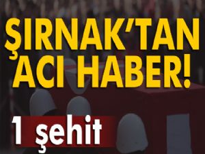 Şırnak'tan acı haber geldi!