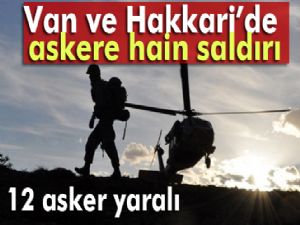 Van ve Hakkari'de hain saldırı