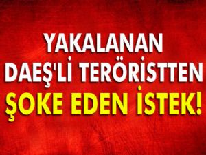 DAEŞ'li terörist: 'Fas'a göndereceğinize bana 100 yıl ceza verin razıyım'