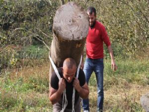 203 kilogramlık kütüğü sırtında taşıdı