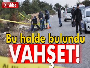 Döverek öldürüp ormanlık alana attılar