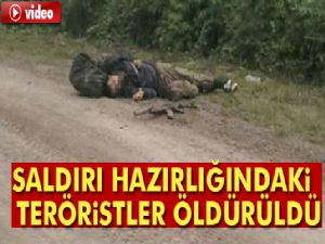 Van'da saldırı hazırlığındaki 2 PKK'lı terörist öldürüldü