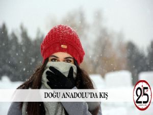 Doğu Anadolu'da kış