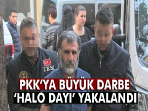 PKK'ya büyük darbe: 'Halo dayı' yakalandı