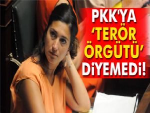 Zuhal Demir PKK'ya terör örgütü diyemedi