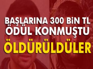 300 bin TL ödülle aranan 2 terörist öldürüldü