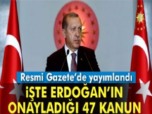 Cumhurbaşkanı Erdoğan'ın onayladığı kanunlar Resmi Gazete'de