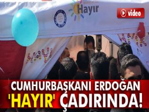 Cumhurbaşkanı Erdoğan'dan 'Hayır' çadırına ziyaret