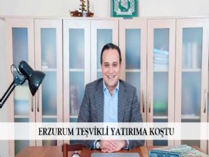 ERZURUM TEŞVİKLİ YATIRIMA KOŞTU