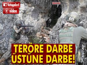 Diyarbakır'da teröre darbe üstüne darbe