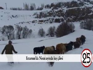  Erzurum'da Nisan ayında kış çilesi