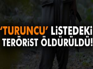 Turuncu listede bulunan terörist etkisiz hale getirildi