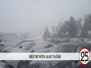  Erzurum'da kar yağışı