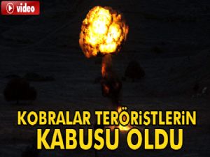 Bestler-Dereler bölgesinde kobralar teröristlerin kabusu oldu